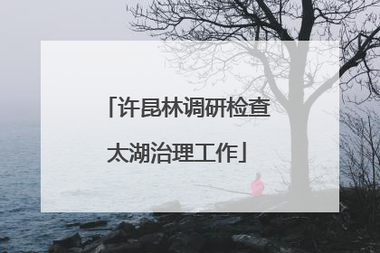 许昆林调研检查太湖治理工作