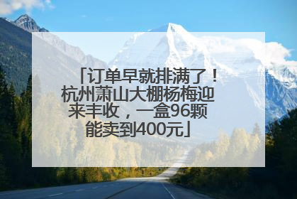 订单早就排满了！杭州萧山大棚杨梅迎来丰收，一盒96颗能卖到400元