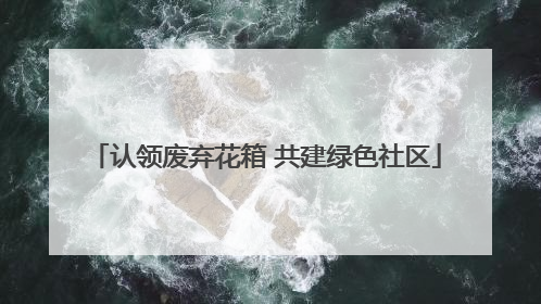 认领废弃花箱 共建绿色社区