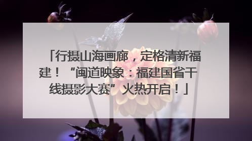 行摄山海画廊，定格清新福建！“闽道映象：福建国省干线摄影大赛”火热开启！