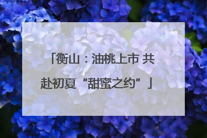 衡山：油桃上市 共赴初夏“甜蜜之约”