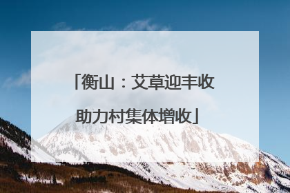 衡山：艾草迎丰收 助力村集体增收