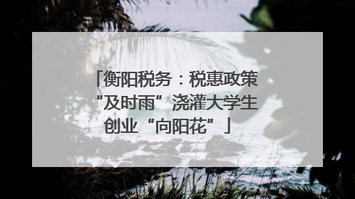 衡阳税务：税惠政策“及时雨”浇灌大学生创业“向阳花”