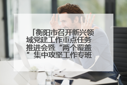 衡阳市召开新兴领域党建工作重点任务推进会暨“两个覆盖”集中攻坚工作专班 第一次会议