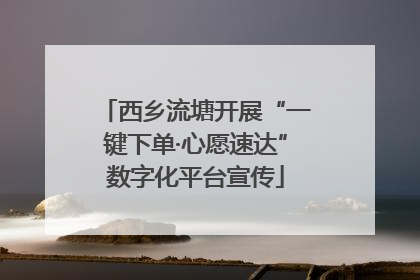 西乡流塘开展“一键下单·心愿速达”数字化平台宣传