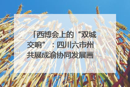 西博会上的“双城交响”：四川六市州共展成渝协同发展画卷｜西博视界