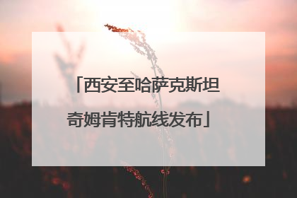 西安至哈萨克斯坦奇姆肯特航线发布