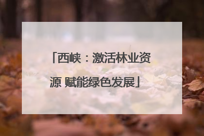 西峡：激活林业资源 赋能绿色发展