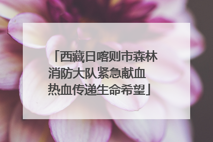 西藏日喀则市森林消防大队紧急献血 热血传递生命希望