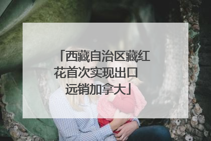 西藏自治区藏红花首次实现出口 远销加拿大
