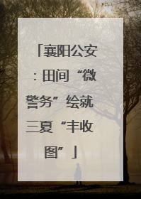 襄阳公安：田间“微警务”绘就三夏“丰收图”