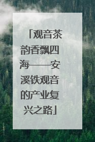 观音茶韵香飘四海——安溪铁观音的产业复兴之路