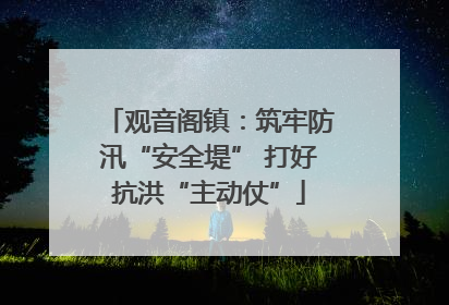 观音阁镇：筑牢防汛“安全堤” 打好抗洪“主动仗”
