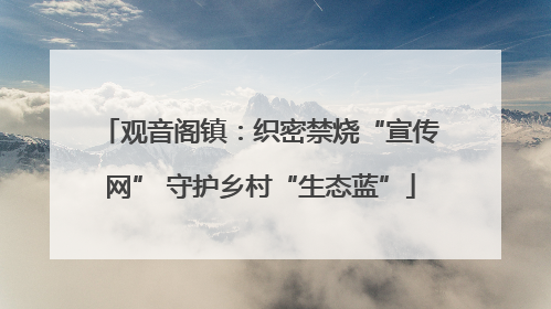 观音阁镇：织密禁烧“宣传网” 守护乡村“生态蓝”
