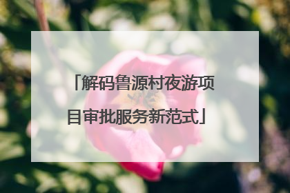 解码鲁源村夜游项目审批服务新范式