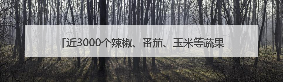 近3000个辣椒、番茄、玉米等蔬果新品种亮相，成都种业博览会在蓉开幕