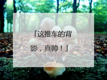 这推车的背影，真帅！