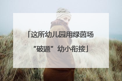 这所幼儿园用绿茵场“破题”幼小衔接