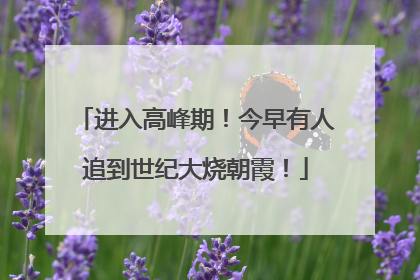 进入高峰期！今早有人追到世纪大烧朝霞！