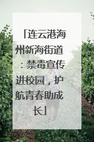 连云港海州新海街道：禁毒宣传进校园，护航青春助成长