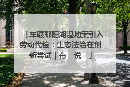 车碾鄱阳湖湿地案引入劳动代偿：生态法治在创新尝试｜有一说一