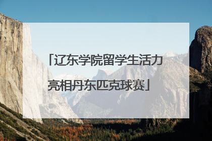 辽东学院留学生活力亮相丹东匹克球赛