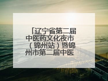 辽宁省第二届中医药文化夜市（锦州站）暨锦州市第二届中医康养夜市启幕
