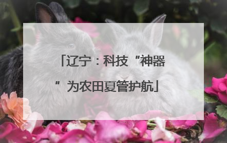 辽宁：科技“神器”为农田夏管护航