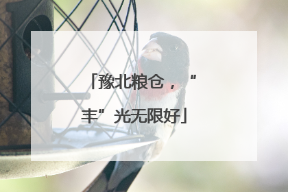 豫北粮仓，“丰”光无限好