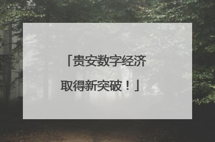 贵安数字经济取得新突破！