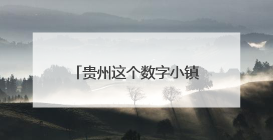 贵州这个数字小镇，“链”就从“0”到“亿”的跨越