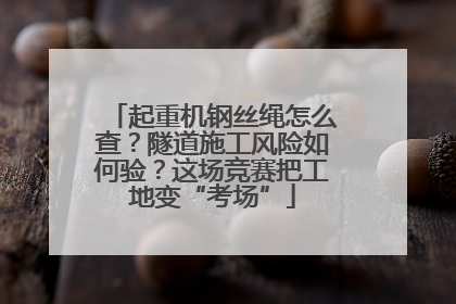 起重机钢丝绳怎么查？隧道施工风险如何验？这场竞赛把工地变“考场”