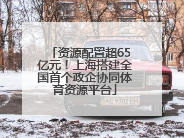 资源配置超65亿元！上海搭建全国首个政企协同体育资源平台