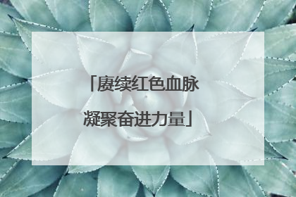 赓续红色血脉 凝聚奋进力量