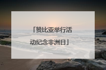 赞比亚举行活动纪念非洲日