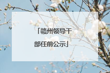 赣州领导干部任前公示