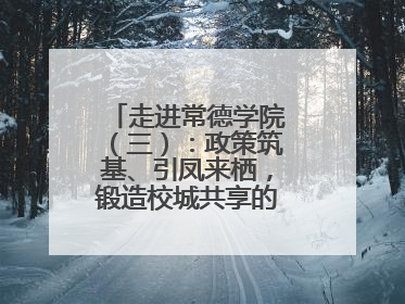 走进常德学院（三）：政策筑基、引凤来栖，锻造校城共享的“双师铁军”