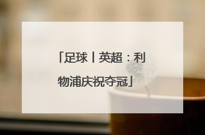 足球丨英超：利物浦庆祝夺冠
