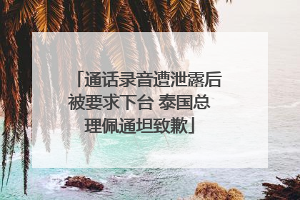 通话录音遭泄露后被要求下台 泰国总理佩通坦致歉