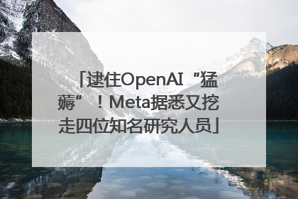 逮住OpenAI“猛薅”！Meta据悉又挖走四位知名研究人员