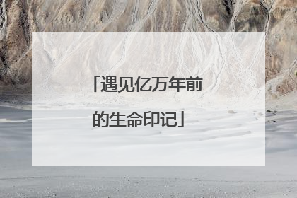 遇见亿万年前的生命印记