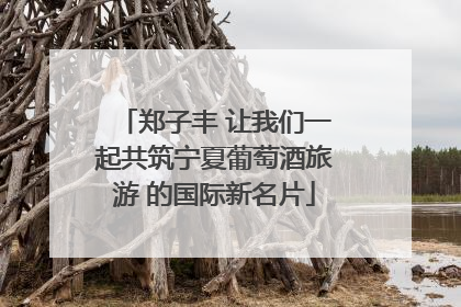 郑子丰 让我们一起共筑宁夏葡萄酒旅游 的国际新名片