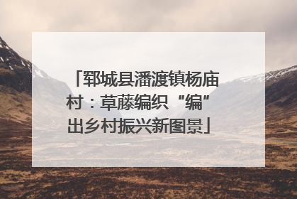 郓城县潘渡镇杨庙村：草藤编织“编”出乡村振兴新图景