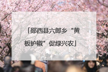 郧西县六郎乡“黄板护椒”促绿兴农