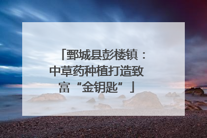 鄄城县彭楼镇：中草药种植打造致富“金钥匙”