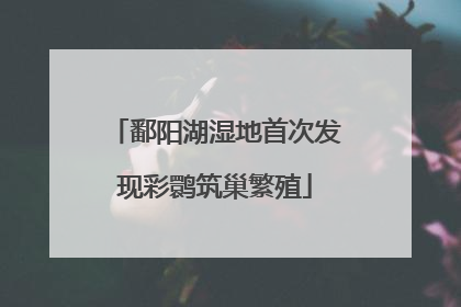 鄱阳湖湿地首次发现彩鹮筑巢繁殖