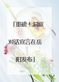 重磅！洞庭对话宣言在岳阳发布