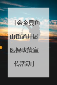 金乡县鱼山街道开展医保政策宣传活动