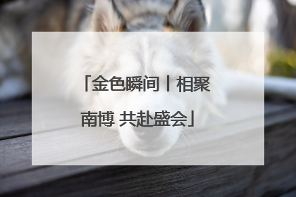 金色瞬间丨相聚南博 共赴盛会
