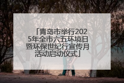 青岛市举行2025年全市六五环境日暨环保世纪行宣传月活动启动仪式